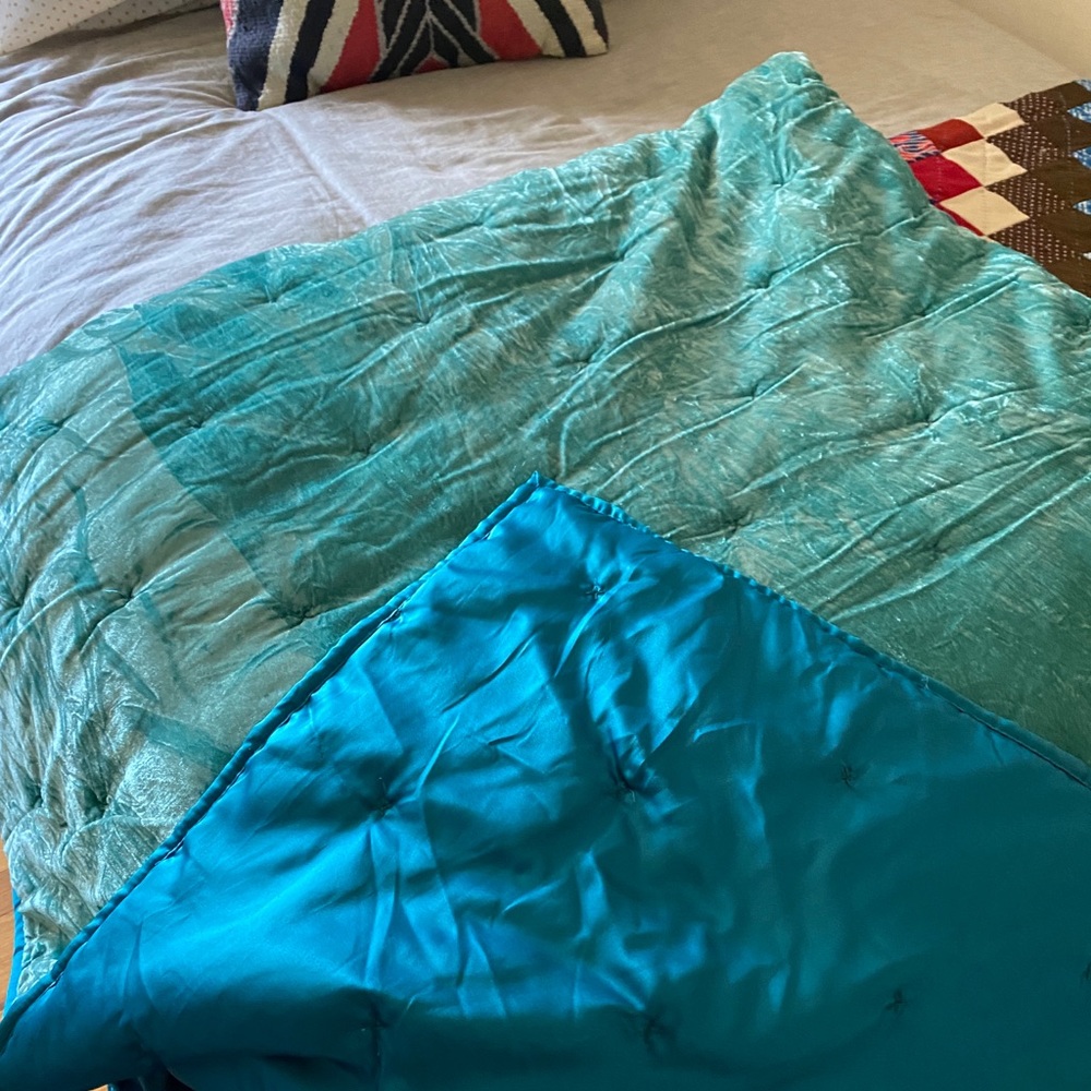 Opalhouse - velvet teal comforter, queen